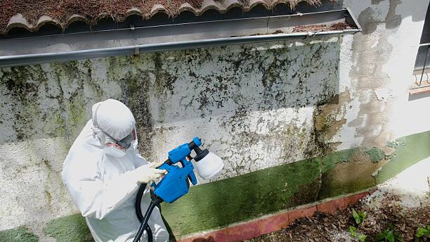 Top rated local Mold Remediation specialists in Cassville, PA